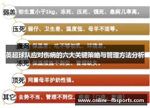 英超球队应对伤病的六大关键策略与管理方法分析