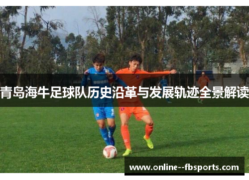 青岛海牛足球队历史沿革与发展轨迹全景解读 青岛海牛足球队历史沿革与发展轨迹全景解读